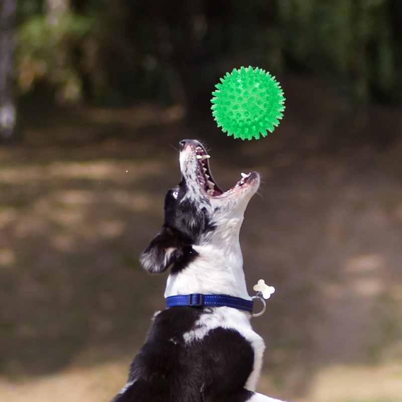 Dog voice toy prick ball small dog pet TPR grinding toy ball — image 7
