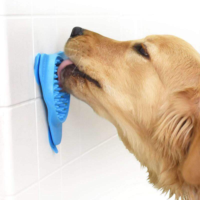 Pet Bowl - Blue — image 4