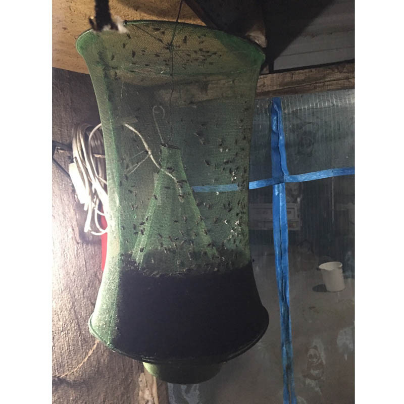 Cazador de Moscas Reutilizable Suspendido Asesino de Insectos Reductor de Plagas Cámaras de Trampa Atraído por Moscas Jaula de Malla para Patio y Hogar — imagen 5