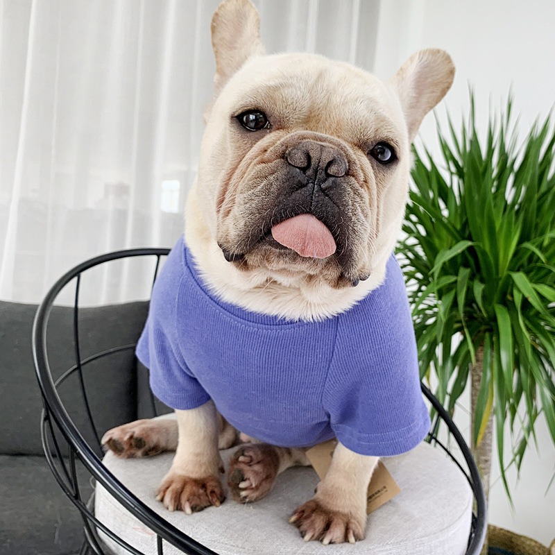 Spring And Autumn Kitten Pet Parent-Child Clothing Cat Clothes Embroidered Dog Clothing Long-Sleeved T-Shirt — image 4