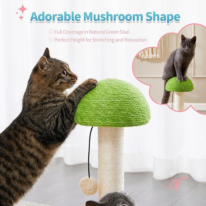Ropa de Sisal para Setas 2 en 1 Bola Interactiva de Madera Juego de Pared de Rasguñado para Gatos — imagen 2