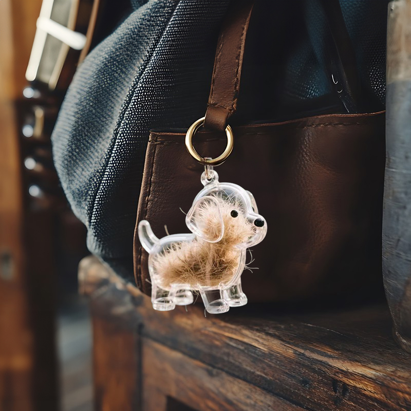 A transparent DIY pet hair memorial keychain box, a sweet keepsake for dog lovers — image 8