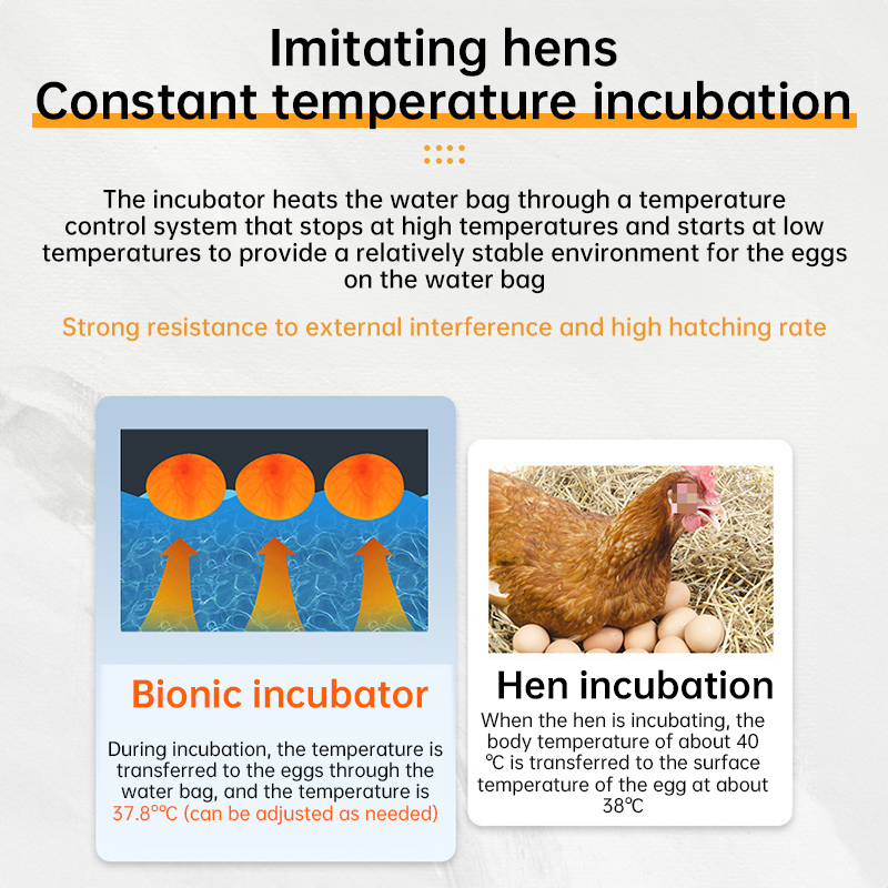 24 - hr Thermostatic Small Poultry Incubator. Biomimetic Waterbed. Auto & Smart. For Chick, Duck & Goose Eggs — image 6