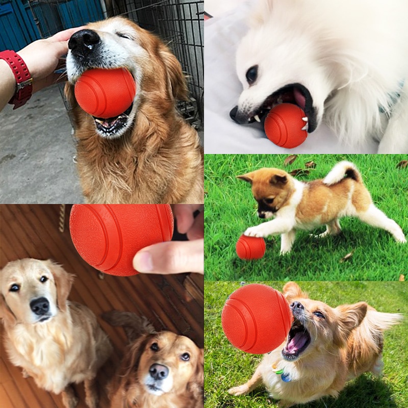 Dog Toy Rubber Ball Bite-resistant Dogs Puppy Teddy Pitbull Pet Supplies — image 6
