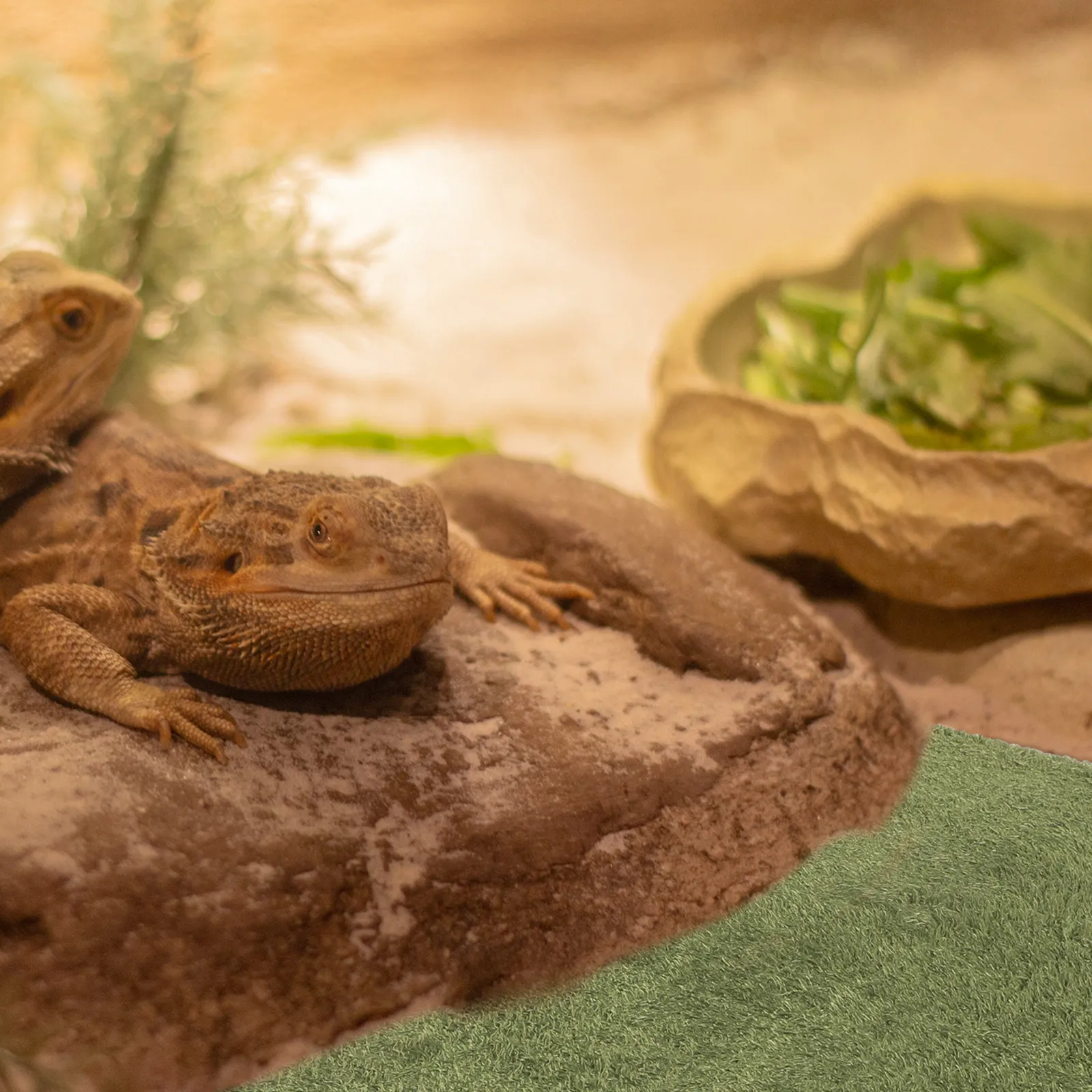 Reptile Carpet Mat Terrarium Bedding Imitation Grass Dry Breathable Reusable Snake Substrate Turtle Lizard Carpet Pet Supplies — image 1