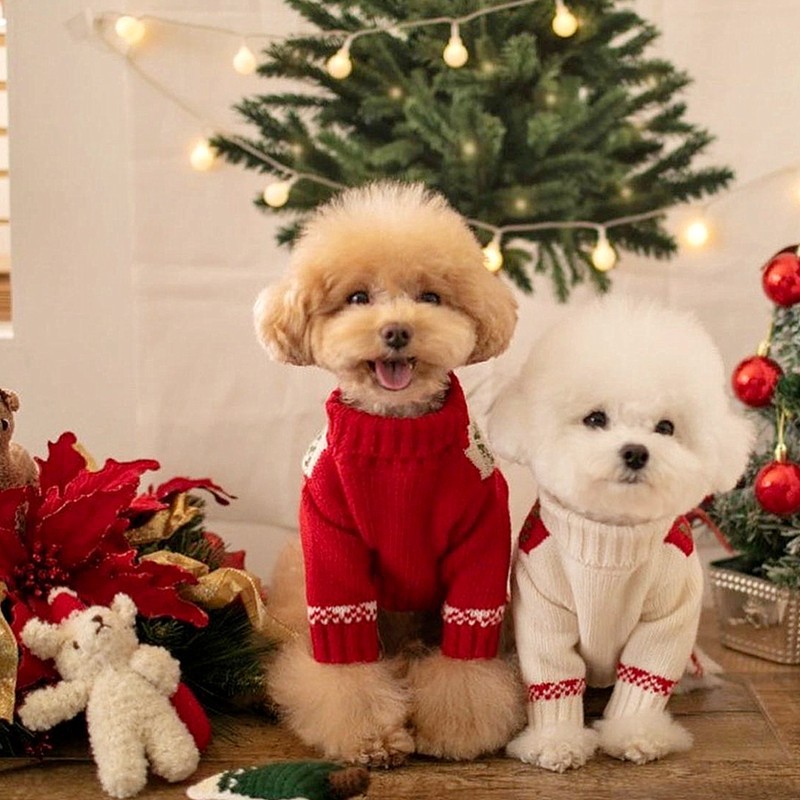 Suéter de Dos Patas para Cachorros de Otoño e Invierno, Suéter de Punto Cálido para Perros Pequeños y Medianos, Ropa Navideña para Gatos — imagen 4