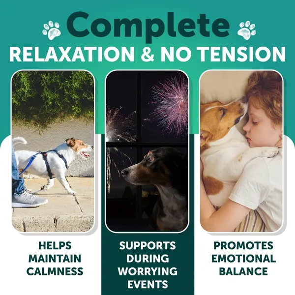 Chews de Hemp para Calmar a Perros - Suplementos Naturales para Reducir Ansiedad y Estrés Canino con Aceite de Hemp, Jengibre y Valeriana para Salud y Bienestar — imagen 3