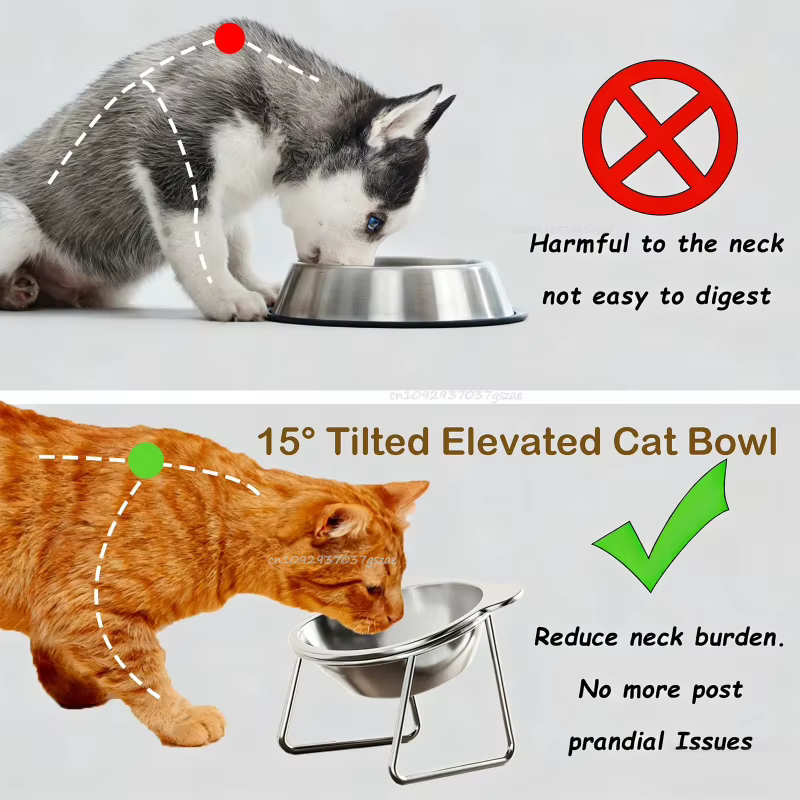 Bol de Comida Elevado a 15° con Cuello Inclinado para Gatos - Acero Inoxidable 304 Resistente al Impacto y Fácil de Limpiar — imagen 6