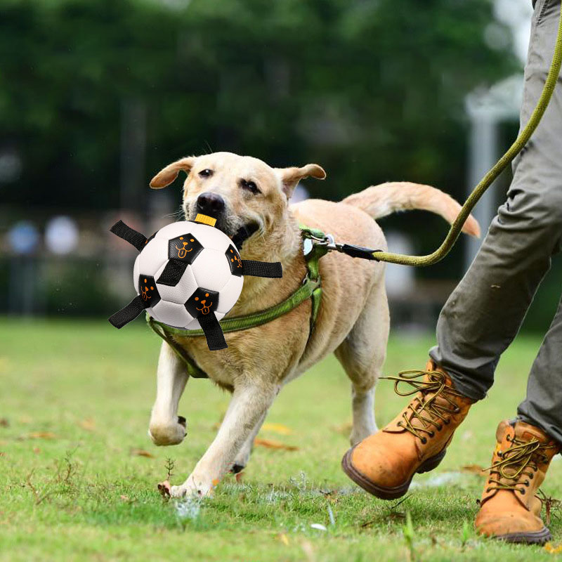 Pet Ball Toy Outdoor Interactive Football Dog Training Ball Multifunctional Rope Biting Dog Ball Dog Toy — image 4