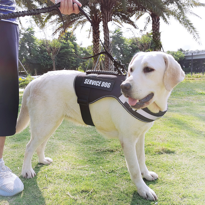 Pet Supplies New Frog Buckle Dog Leash Medium And Large Dogs Cushion Anti-Storm Nylon Anti-Escape Traction Rope — image 1