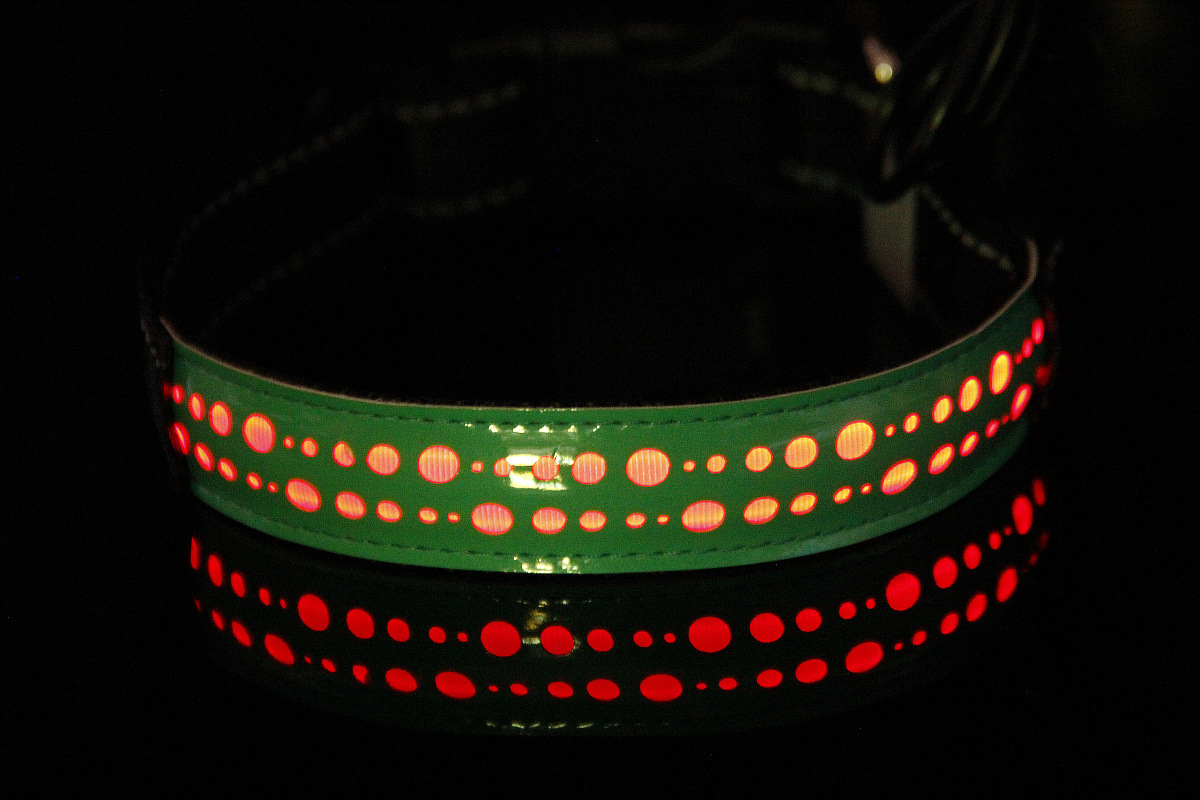 Collar de Luz LED Rechargeable con Cuero Tallado para Mascotas — imagen 3