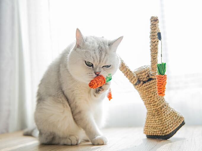 Cat Tree Tower Furniture Kitten Playhouse Sisal Scratching Posts Cat Jumping Platforms With Soft Mat — image 4