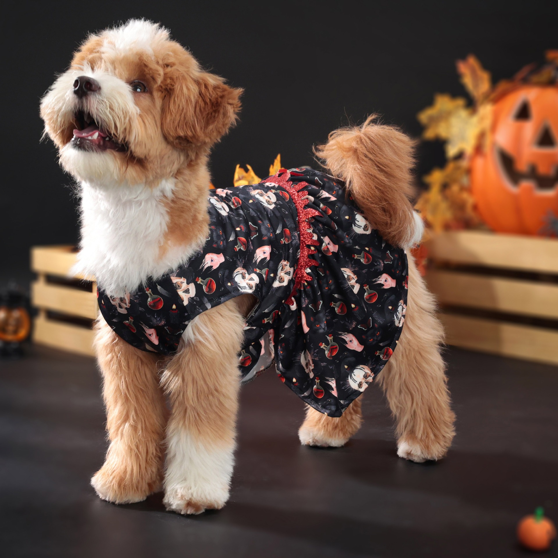 Halloween Pet Dog Costume Skull Bat Blood Drop Dress — image 5