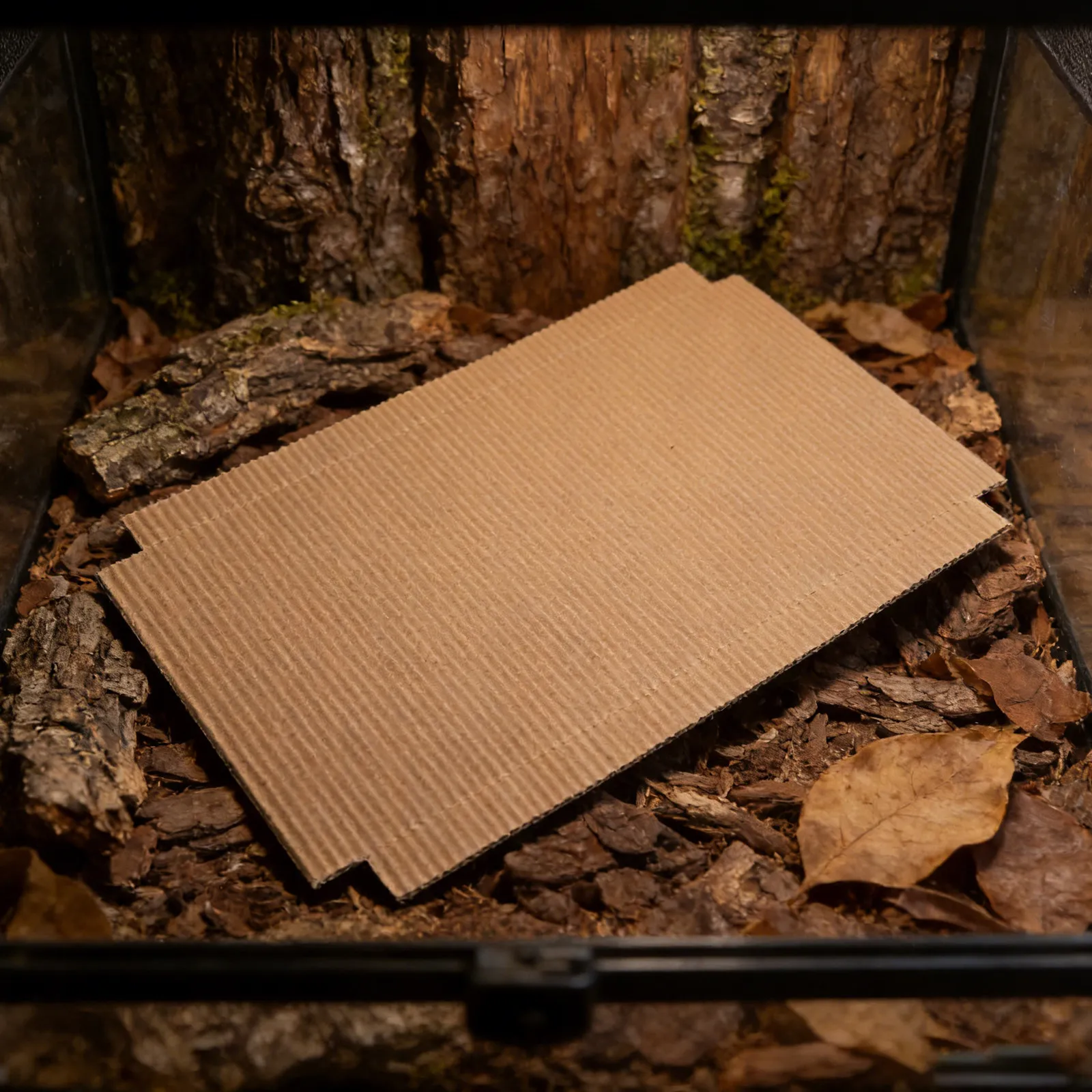 100Pcs Reptile Terrarium Corrugated Cardboard Liner 12.8x8 Inch High Absorption Bedding for Bearded Dragon Snake Lizard Gecko — image 1