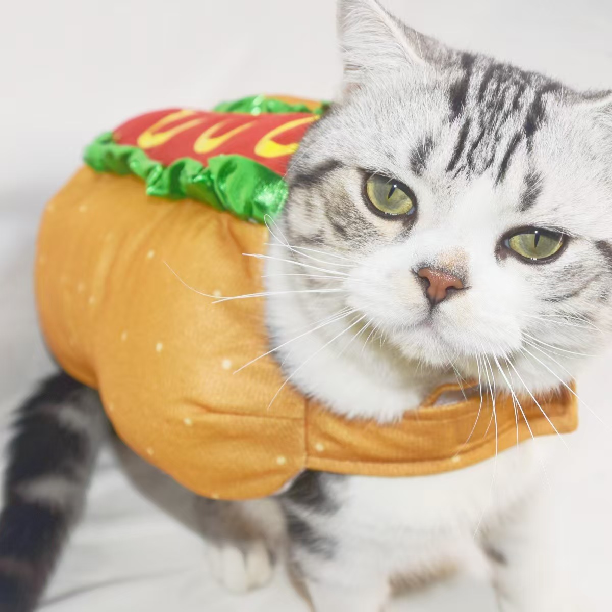 Disfraz de perro, disfraz de gato - Carnaval, Navidad, Hamburguesas y Hot Dogs — imagen 4