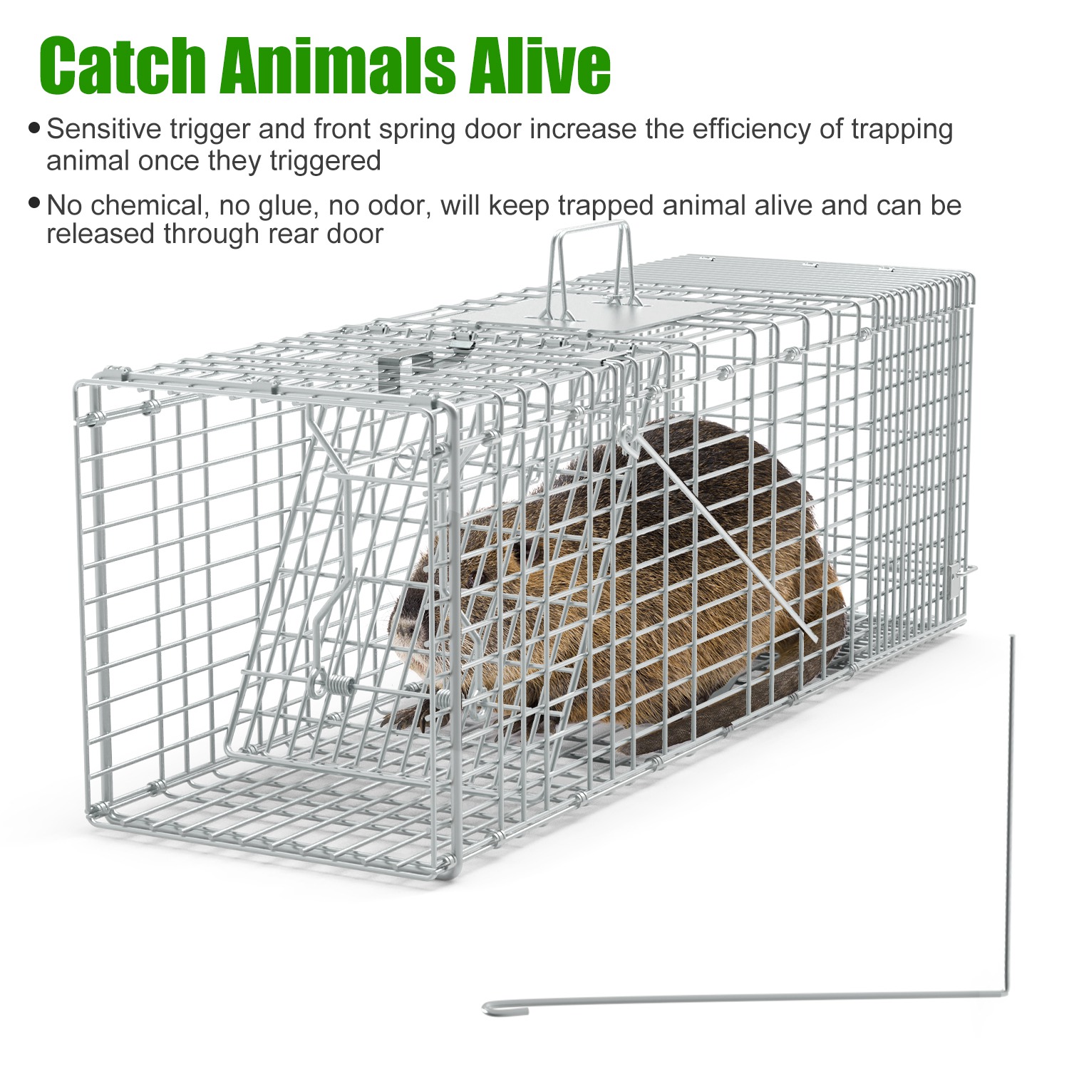 Humane Cat Trap Cage With Gloves Catch Release Live Animal Rodent Cage Collapsible Galvanized Wire For Raccoons Beavers Groundhogs Foxes Armadillos — imagen 2