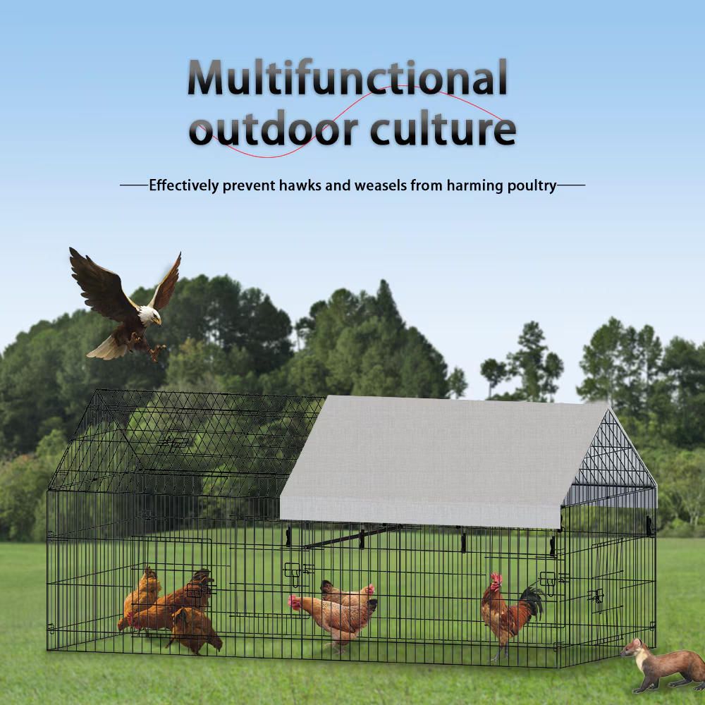 Casa de Gallinas con Alambre Puntiagudo para Cría Avícola — imagen 6