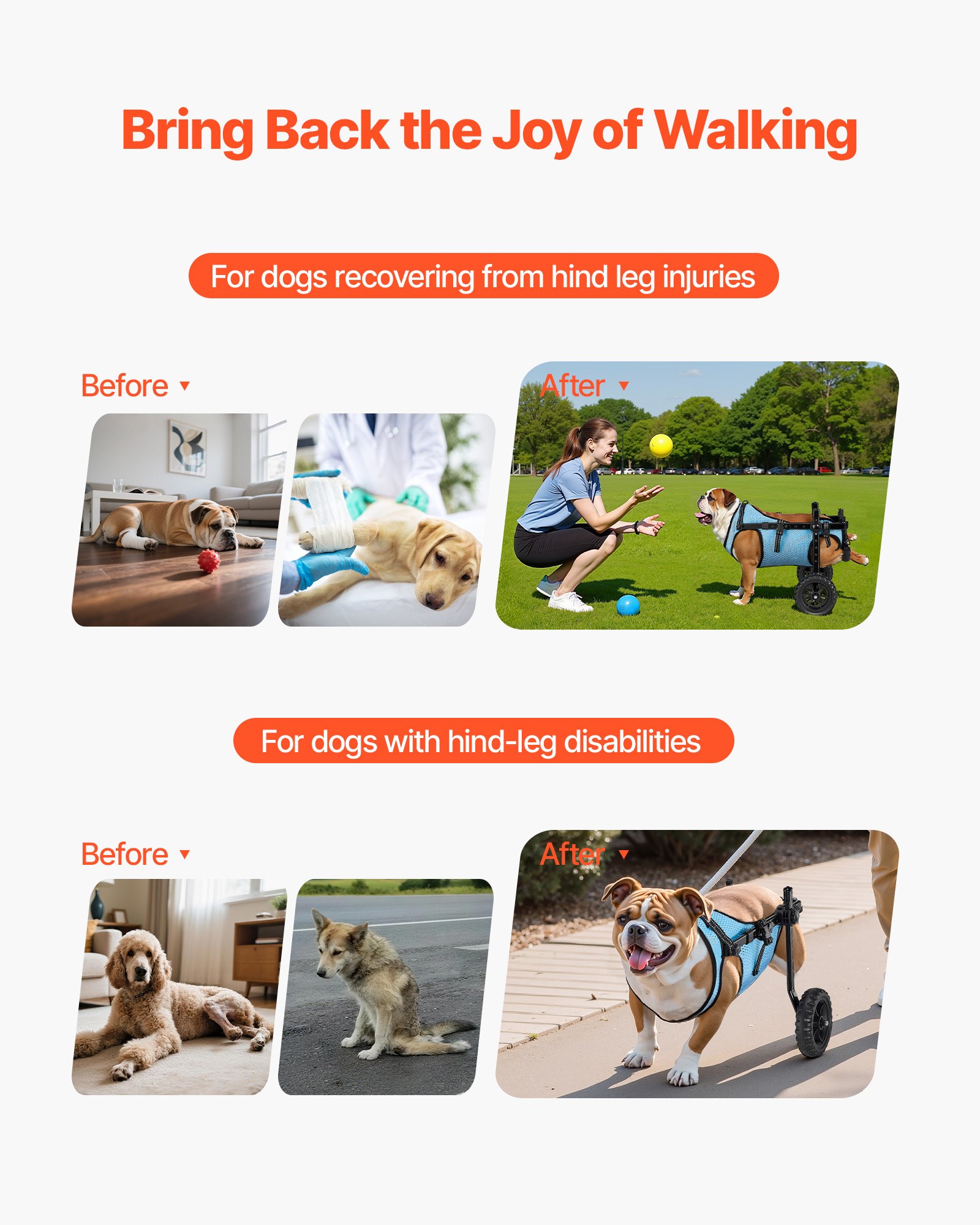 Silla de Ruedas para Perros con Patas Traseras, 2 Ruedas Ajustables - Silla de Movilidad Ligera para Cáncer de Espalda en Perros con Soportes Absorbentes — imagen 5