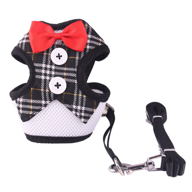 Vestido de Cuerda para Perros Tipo Teddy con Correa y Cinturón de Pecho para Canes de Tamaño Pequeño a Mediano — imagen 6
