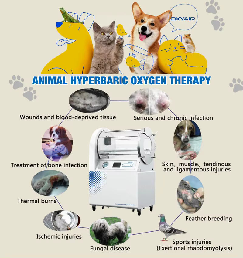 Cámara de Oxígeno Hiperbárico Veterinaria OXYAIR Vet Hard Lying 2.0 ATA para Uso Humano — imagen 5