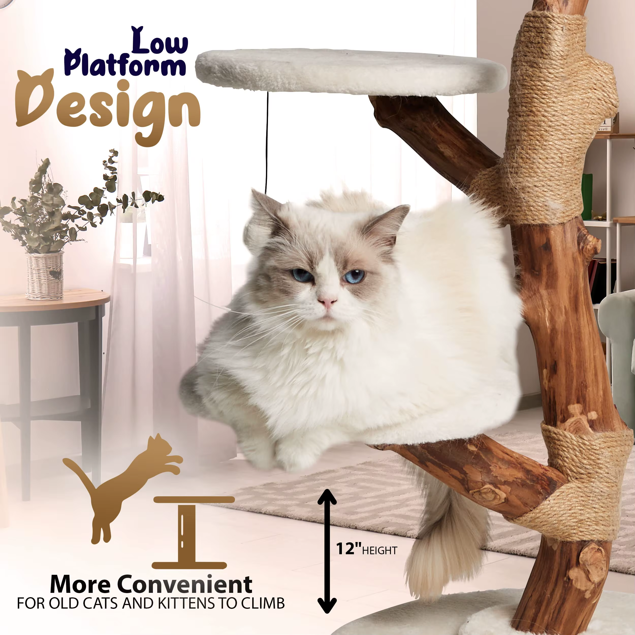 Árbol de Gato de Luxo de Diseño Nueva Fábrica: Árbol de Ramas Reales de Madera para Gatos con Plataforma en el Techo y Pisos de Suelo a Techos — imagen 4
