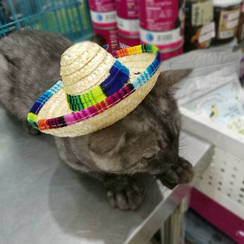 Straw Sombrero Mexican Hat Pet Adjustable Buckle Multicolor Pet Straw Dog Cat Hat — image 4