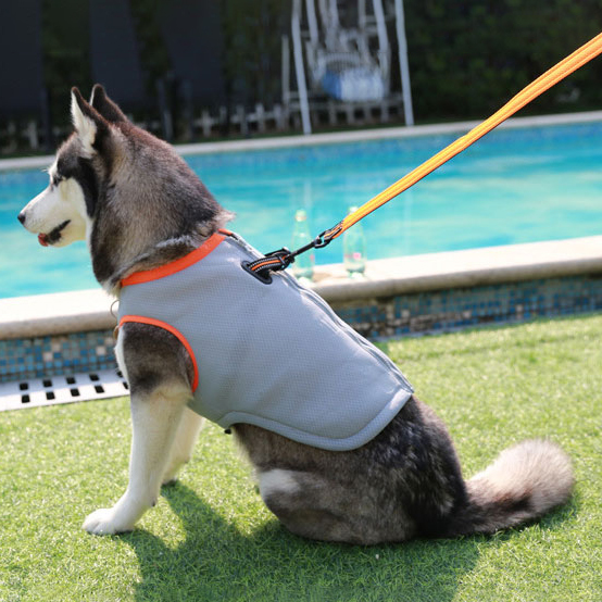 Truelove Ropa fresca para perros, invierno y verano, con malla transpirable y absorbente, fresca y cálida — imagen 1