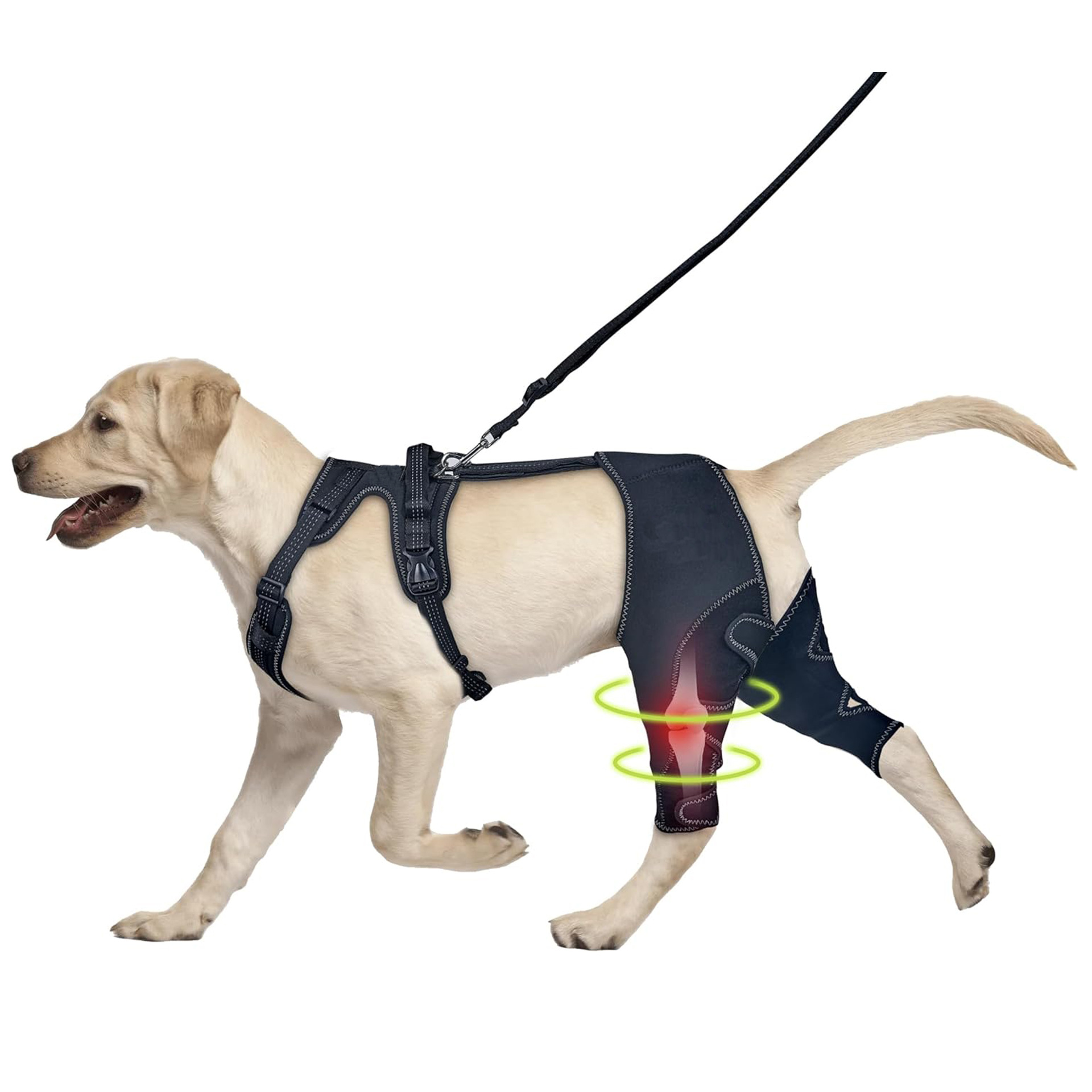 Pet Leg Support Dog Knee Brace Post-Surgery Rehabilitation Knee Support Joint Protection Bandage — image 1