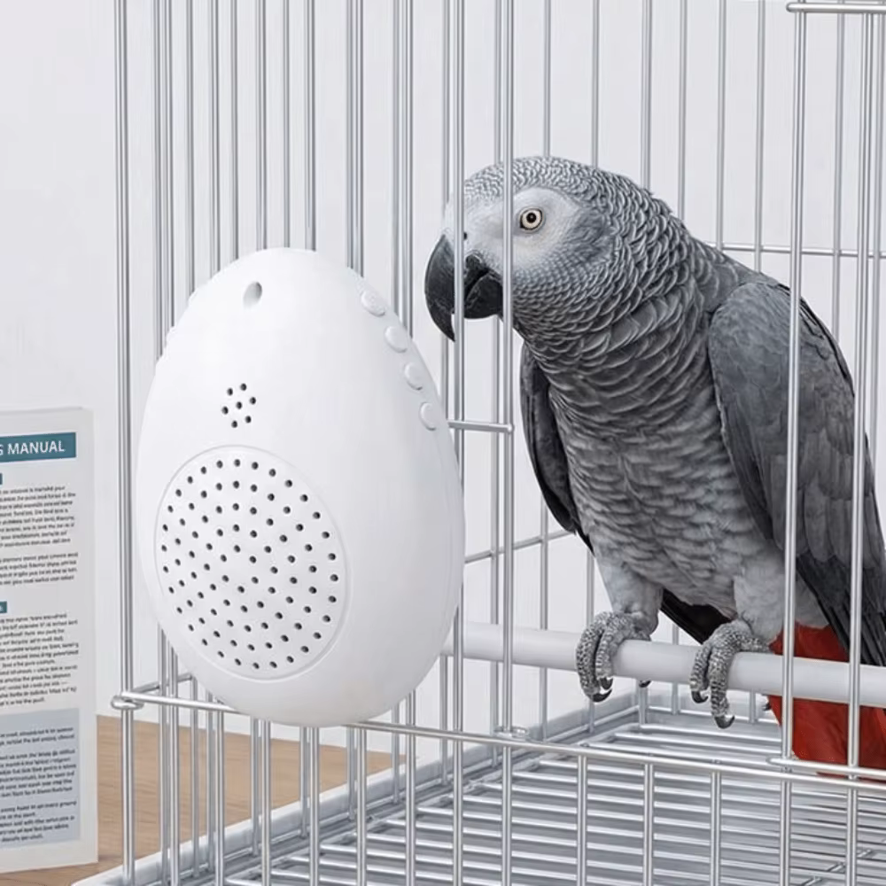 Máquina de Aprendizaje para Pájaros con Reproducción de Sonidos Interactivo — imagen 1