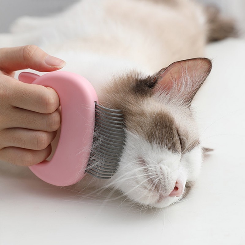 Pet Massage Brush Shell Shaped Handle Pet Grooming Massage Tool To Remove Loose Hairs Only For Cats New — image 2