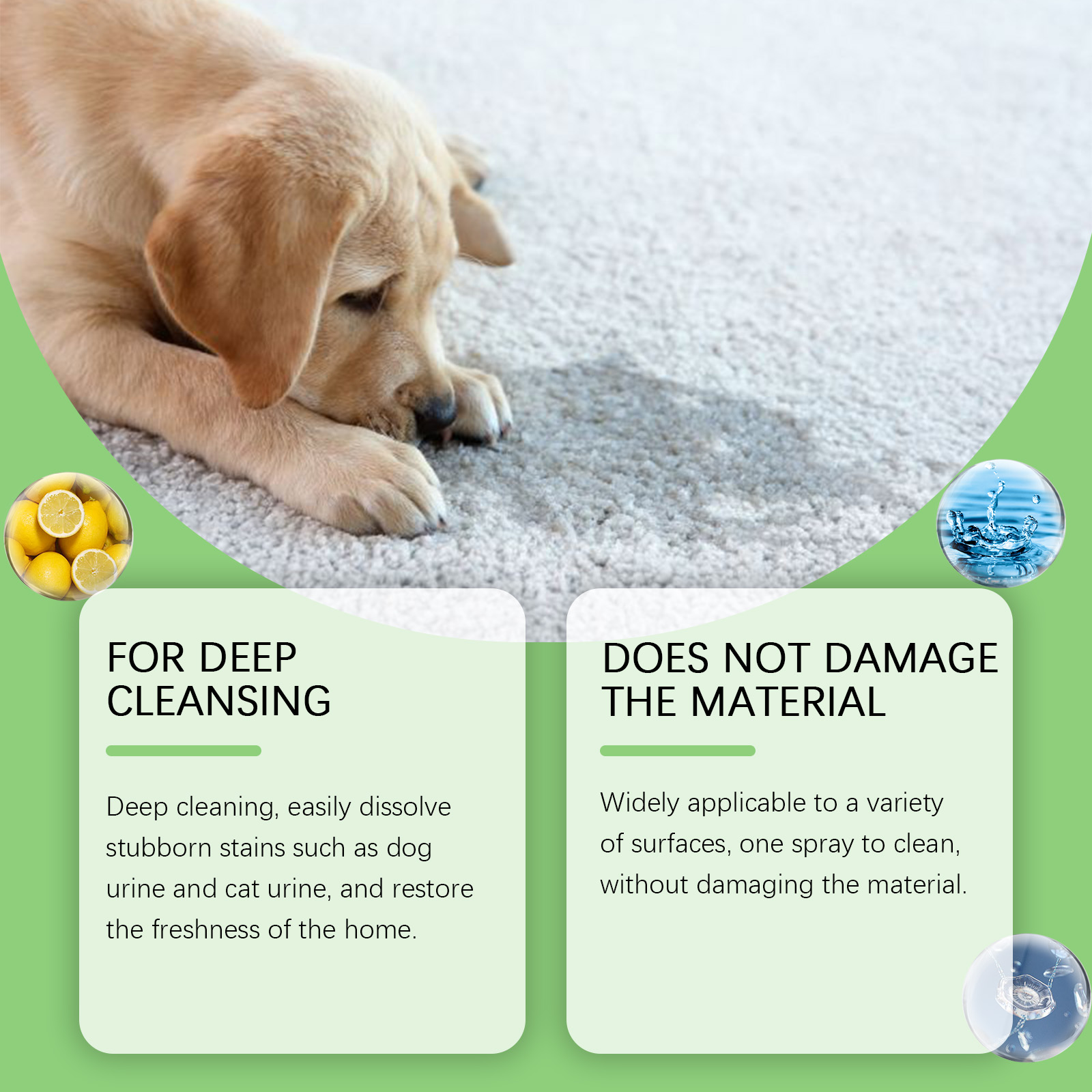 Eliminador de Manchas para Mascotas Yegbong - Odorantes de Perros y Gatos, Grasa y Moco — imagen 4