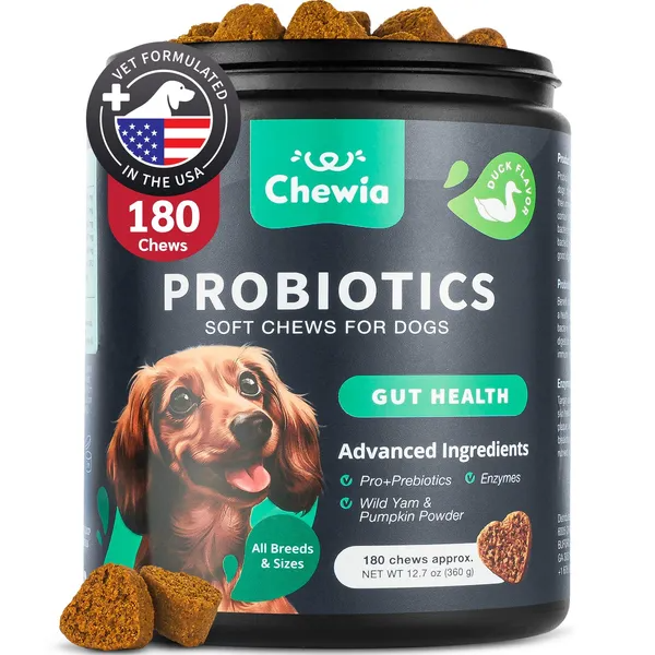 Probióticos para la Salud Intestinal del Perro - Apoyo Digestivo, Inmunidad y Equilibrio de Levaduras