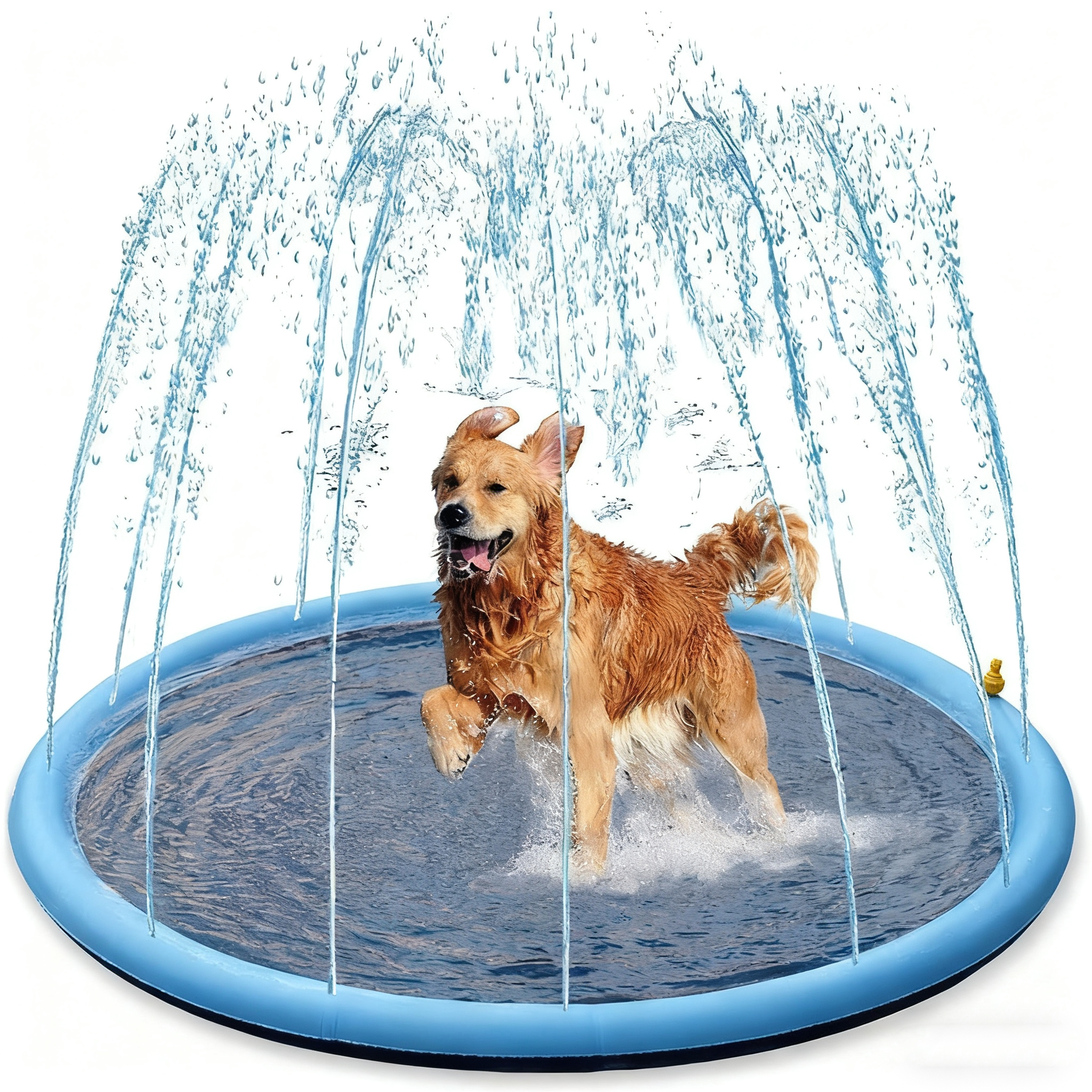 PVC thickened water spray mat for pet play — image 1