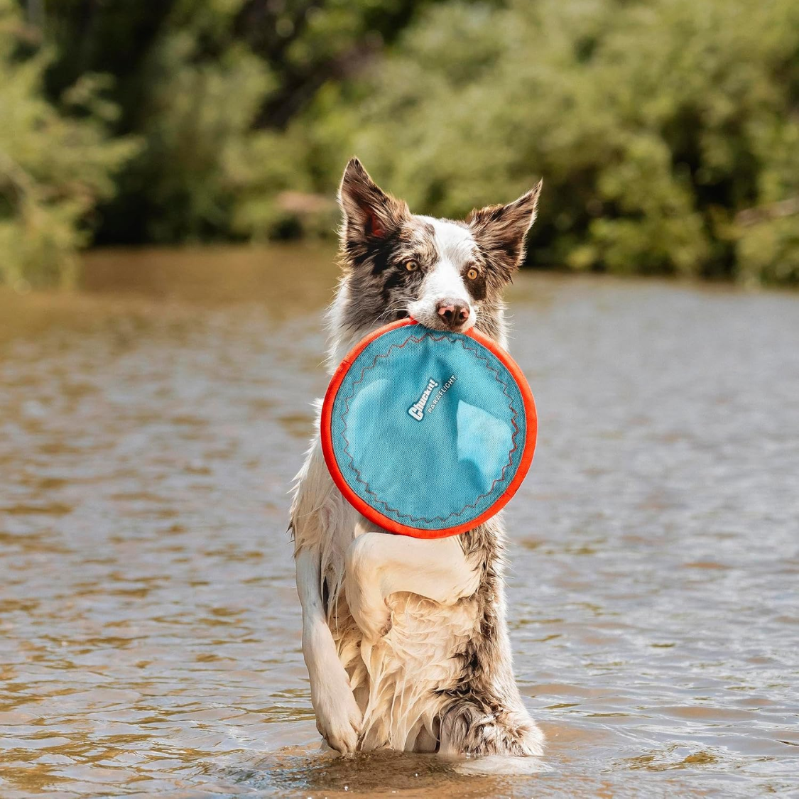 Disco Volador Paraflight para Perros: Juguete de Nylon Durable con Borde de Goma Suave para Perros Medianos y Grandes — imagen 5
