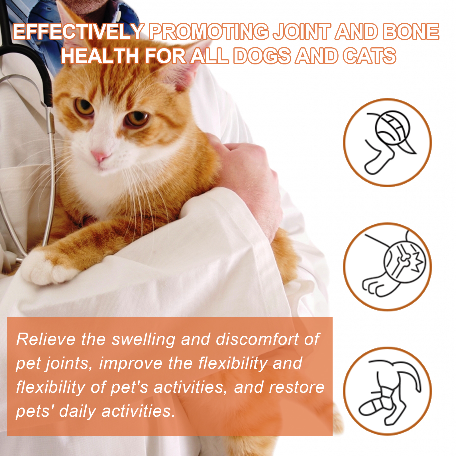Bee Pet Joint Repair Spray, Joint Support Supplement For Dogs & Cats, Relief Joint Swelling & Discomfort, Improve Mobility — image 5