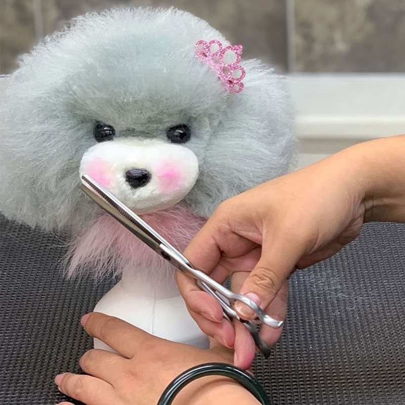 Cabeza de Entrenamiento para Pelo Canino Profesional | Modelo de Practica para Estudiantes de Estética Animal y Cuidado del Pelaje — imagen 13