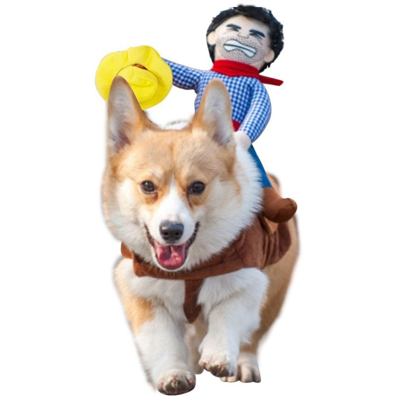 Disfraz de cowboy para perros divertido, atuendo de caballo ridículo para mascotas — imagen 1