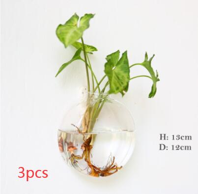 Vaso de Vidrio para Terrario Decorativo en Línea - Jardín Acuático para Hogar — imagen 13