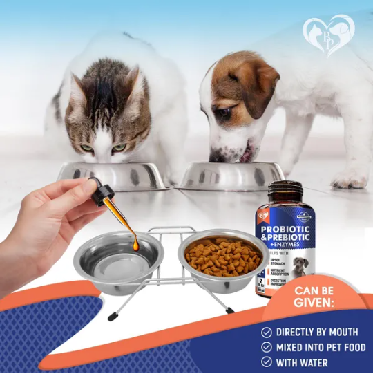 Suplementos Probióticos y Prebióticos con Enzimas para Perros y Gatos Salud Intestinal Completa Alimentos de Animales de Compañía — imagen 4
