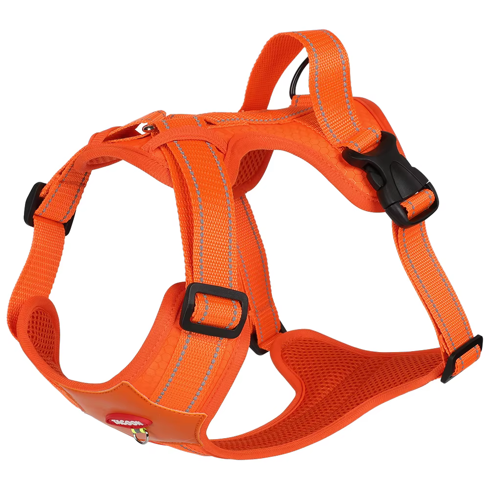 Dog Harness and Leash Set, Reflective, Anti-Pull, for Small and Medium-Sized Dogs, Escape-Proof — image 6