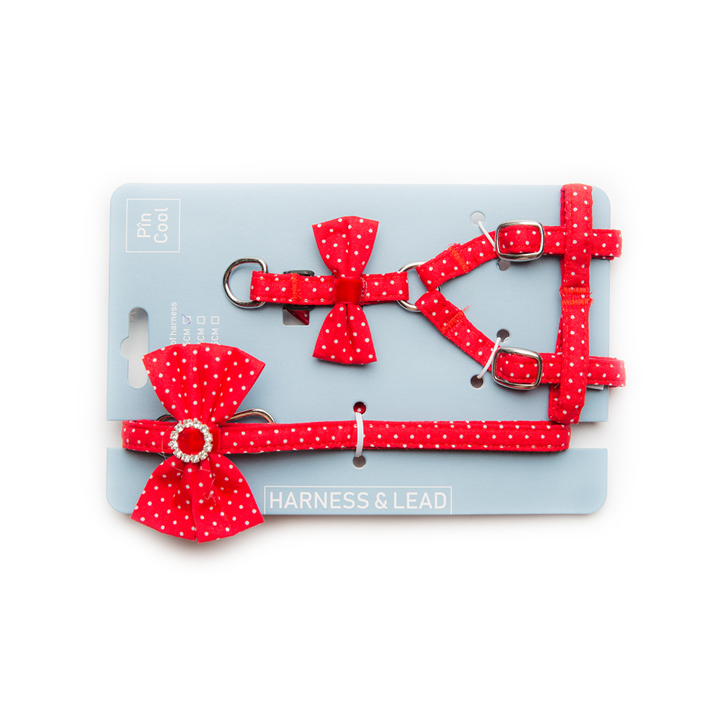 New Pet Corset Suit Small And Medium-Sized Dog Leash Fashionable Dog Walking Corset — image 5