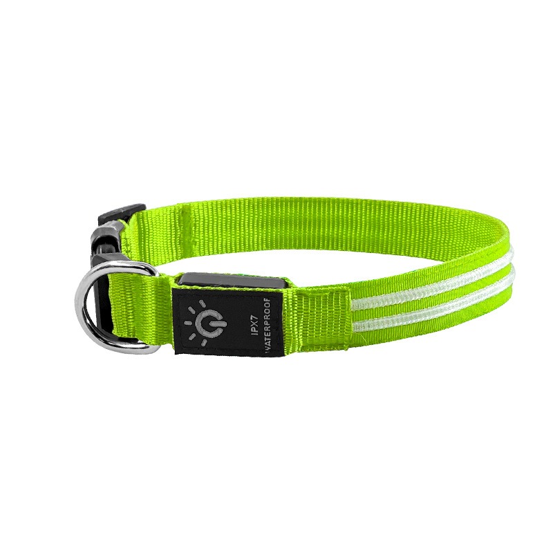 Collar LED Luminoso para Perros Impermeable Caminata Nocturna Cinturón de Luz USB Recargable — imagen 1