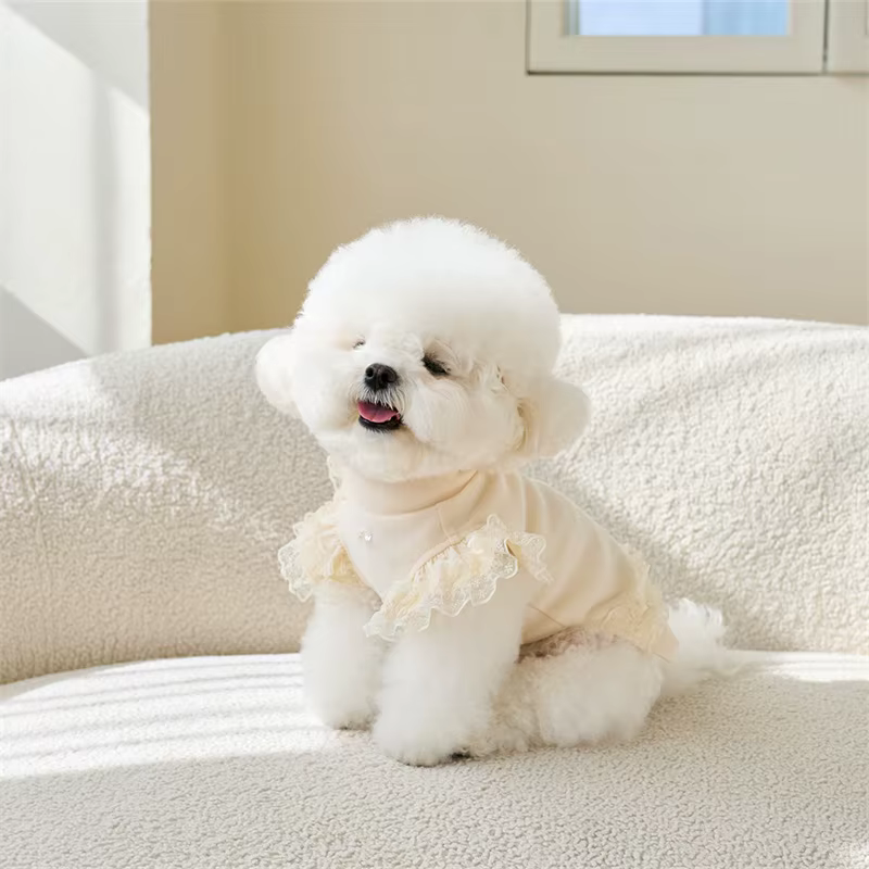 Pet Spring Lace Flying Sleeve Bottom Shirt Cute Colorful Tank Top Pet Teddy Bottom Shirt Cat T-shirt Top Puppy Clothes — image 4