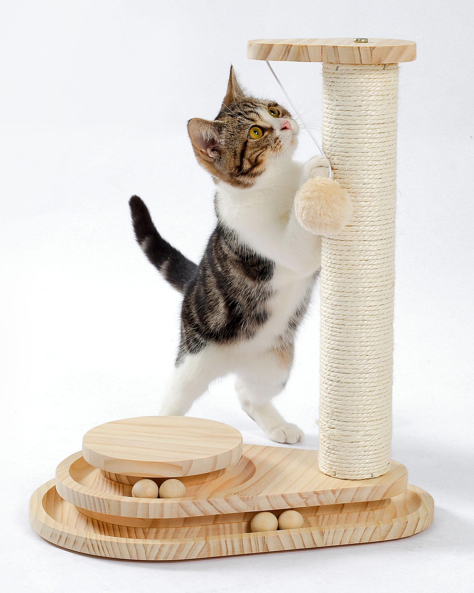 Indoor Cat Soft Scratching Board And Interactive Ball Track Toy Cat Rest And Grooming Supplies — image 1