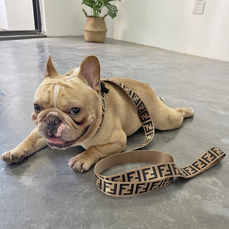 Trend Brand Pet Traction Rope Vest Chest Strap Explosion proof Flushing Dog Chain Fadou Keji Teddy Neck Collar — image 6