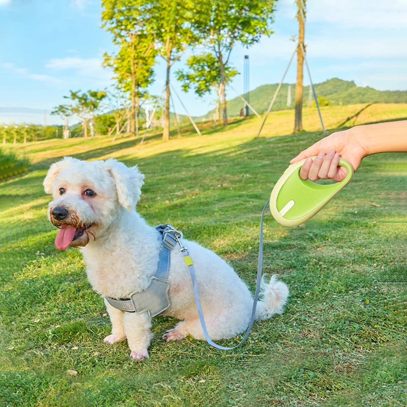 3m Pet Leash For Small Dogs Cat Automatic Retractable Nylon Durable Walking Lead Puppy Outdoor Travel Pet Products 1pcs — image 6