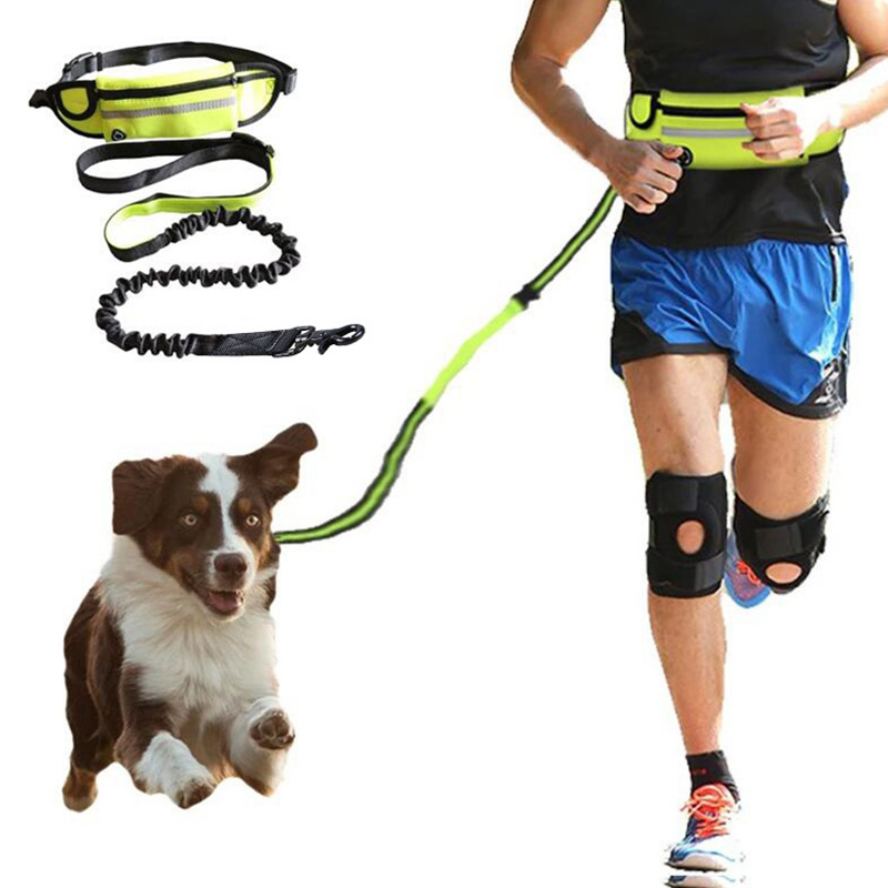 Cinturón Inalámbrico para Perros - Cinturón de Adiestramiento con Correa Elástica Absorbente para Perros Grandes hasta 82 kg, Bolsillo de Teléfono y Botella de Agua — imagen 9