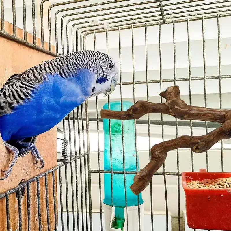 Palo de Estar para Mascotas Madera de Vino Silvestre: Palo de Pájaro para Periquitos y Cacatúas — imagen 4