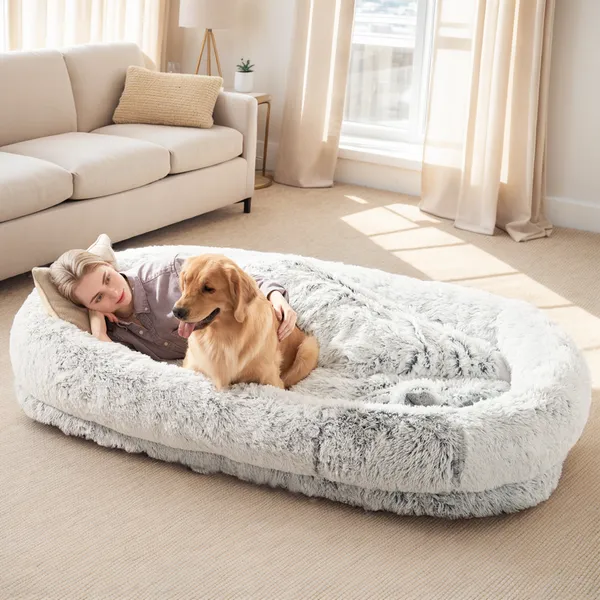 Cama para Perros y Personas Grande, Para Ti y Tu Mascota, Cama de Felpa Sintética Lavable para Dormir o Descansar, Soporte Óptimo para Canes, Almohada Pluma Presente, Manta, Correa — imagen 14