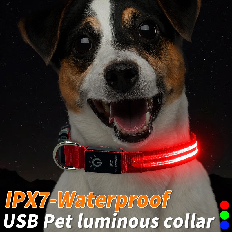 Collar LED Luminoso para Perros Impermeable Caminata Nocturna Cinturón de Luz USB Recargable — imagen 4